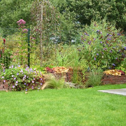 Kleurrijke border met vaste planten